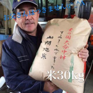 もね様専用　25キロを精米(米/穀物)