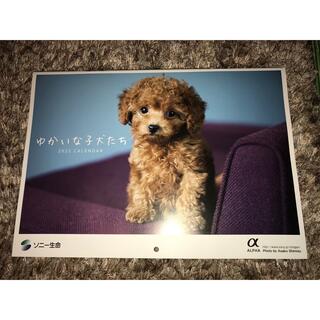 ソニー生命保険の2022年 ゆかいな子犬たち カレンダー(カレンダー/スケジュール)