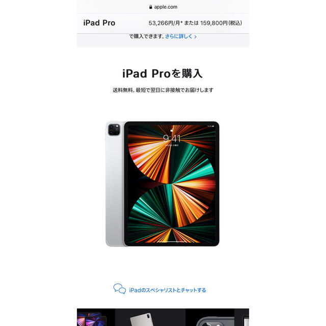 iPad Proシルバー256GB Wi-Fi+Cellular