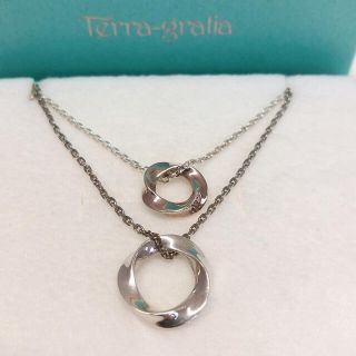 【美品】Terra-gratiaペアネックレス SILVER 925(ネックレス)