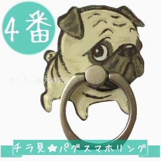 4番ちら見 パグ スマホリング かわいい犬 おしゃれ 動物 フレンチブルドッグ(その他)