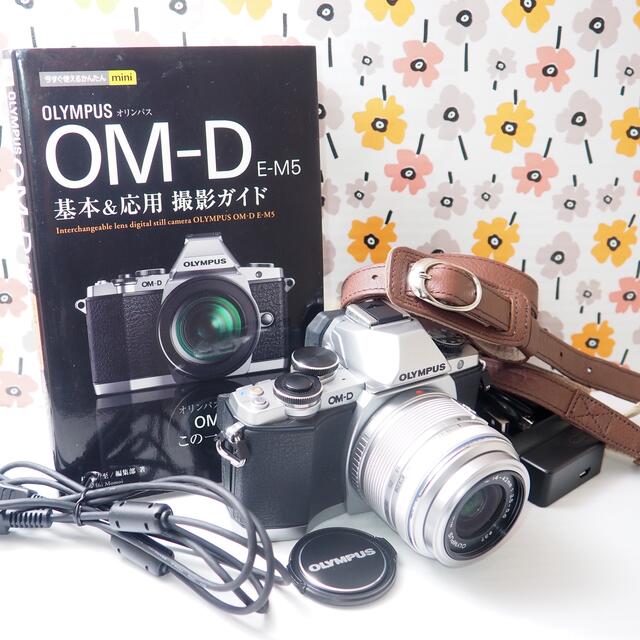 カメラ その他 OLYMPUS - ❤️Wi-Fi❤️オリンパス OM-D E-M10 ミラーレスカメラの 