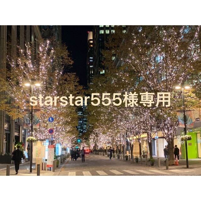 starstar555様 確認ページ☆ レディースのバッグ(エコバッグ)の商品写真