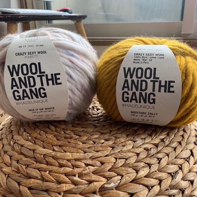 WOOL AND THE GANG Crazy Sexy Wool ２玉セット