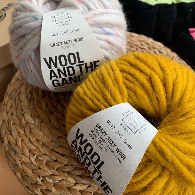 WOOL AND THE GANG Crazy Sexy Wool ２玉セット