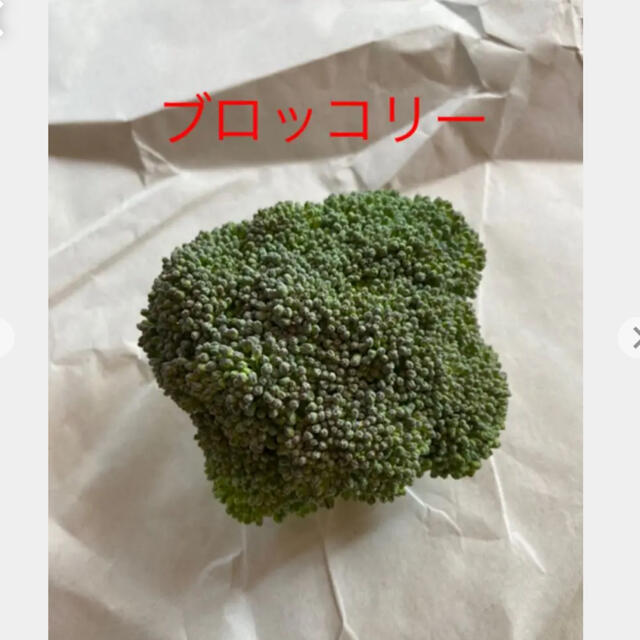 野菜セット　　コンパクト 食品/飲料/酒の食品(野菜)の商品写真