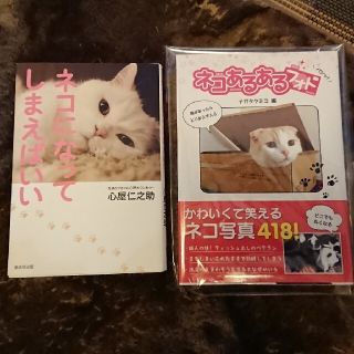 ネコになってしまえばいい+ネコあるあるフォト(その他)