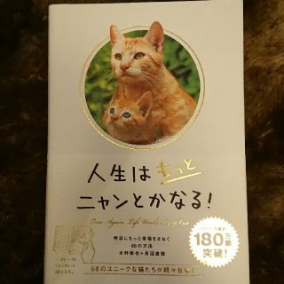 人生はもっとニャンとかなる！ 明日にもっと幸福をまねく６８の方法(その他)