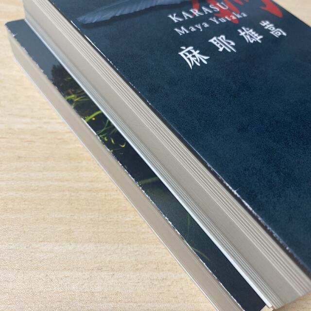 麻耶 雄嵩　2冊セット エンタメ/ホビーの本(文学/小説)の商品写真