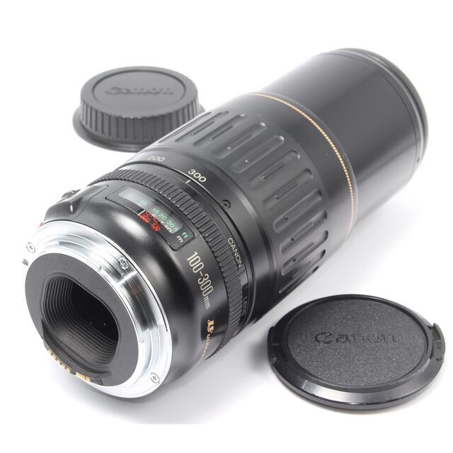 迫力300mm☆超望遠レンズ☆キャノン Canon EF100-300mm - レンズ(ズーム)