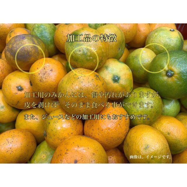 和歌山県産　有田　家庭用　10kg みかん　残り少し 食品/飲料/酒の食品(フルーツ)の商品写真
