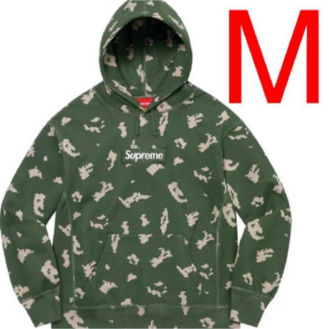 Box Logo Hooded Sweatshirt Camo M