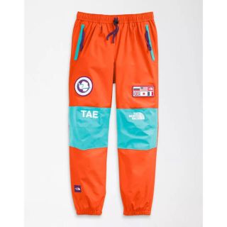 ザノースフェイス(THE NORTH FACE)のThe North Face TransAntarctica expedtion(その他)