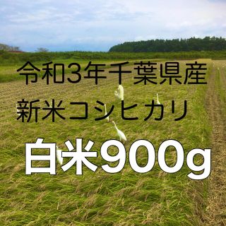 令和3年新米コシヒカリ白米900g(米/穀物)