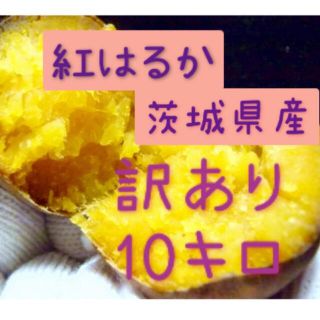 さつまいも　紅はるか　10kg   サイズ訳あり(米/穀物)