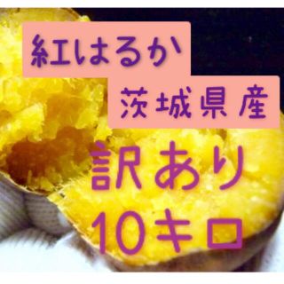 さつまいも　紅はるか　10kg    サイズ訳あり(米/穀物)