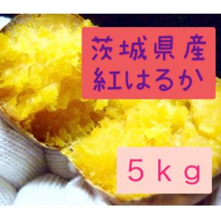 さつまいも　紅はるか　5kg    サイズ訳あり(野菜)