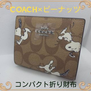 コーチ(COACH)のCOACH×ピーナッツスヌーピー人気折り財布コーチコンパクト財布コラボ新品未使用(財布)