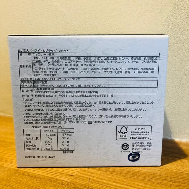 AAA 白い恋人　コラボ　『え〜パンダ』36枚入り