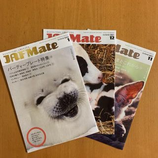 JAF Mate ジャフメイト 1月11月12月号(車/バイク)