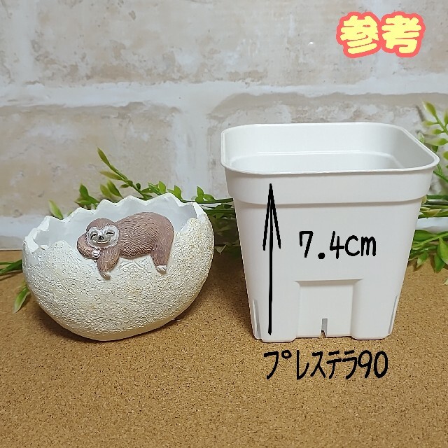 【ミニレジンポット：なまけものＥ】植木鉢 多肉植物 寄せ植え プラ鉢 プレステラ ハンドメイドのフラワー/ガーデン(プランター)の商品写真