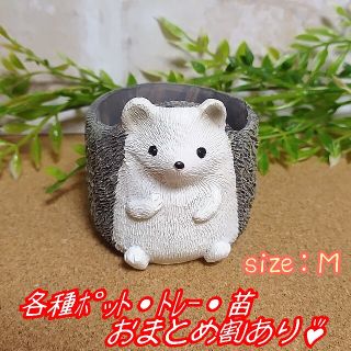 【ミニレジンポット：はりねずみＣＭ】植木鉢 多肉植物 寄せ植え プラ鉢プレステラ(プランター)