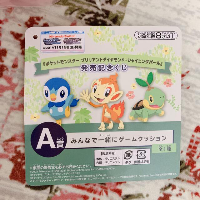 一番くじ ポケットモンスター A賞 ポケモン エンタメ/ホビーのおもちゃ/ぬいぐるみ(キャラクターグッズ)の商品写真