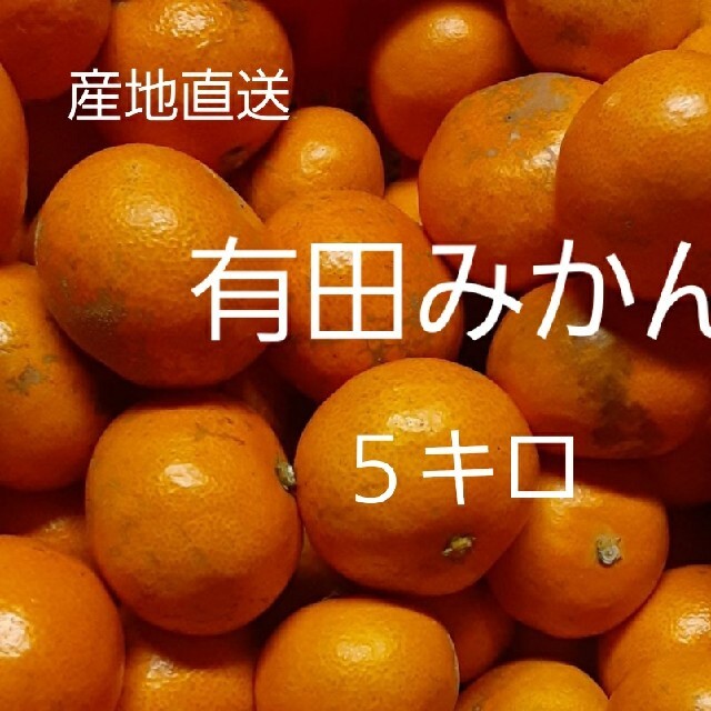 和歌山県有田産　有田みかん　わけあり小粒5kg 食品/飲料/酒の食品(フルーツ)の商品写真