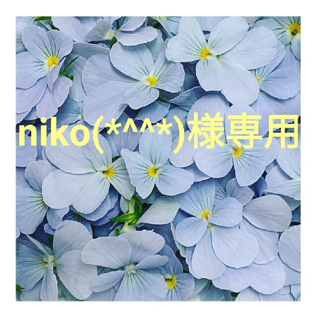 niko(*^^*)様専用の通販 by &FLOWER|ラクマ