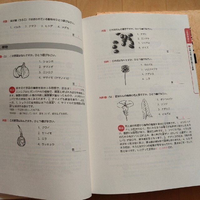 【るいしん様専用】生物分類技能検定試験問題集&解説集3,4級
