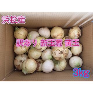#1  訳あり 新玉ねぎ 黄玉   静岡県浜松産 3kg(野菜)