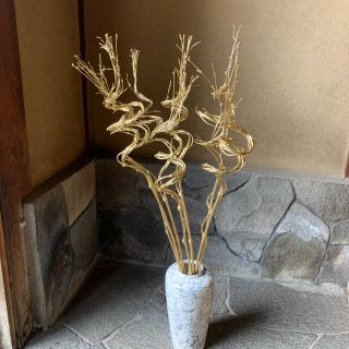 螺旋竹　ゴールド　竹　ゴーストバンブー　花材(その他)