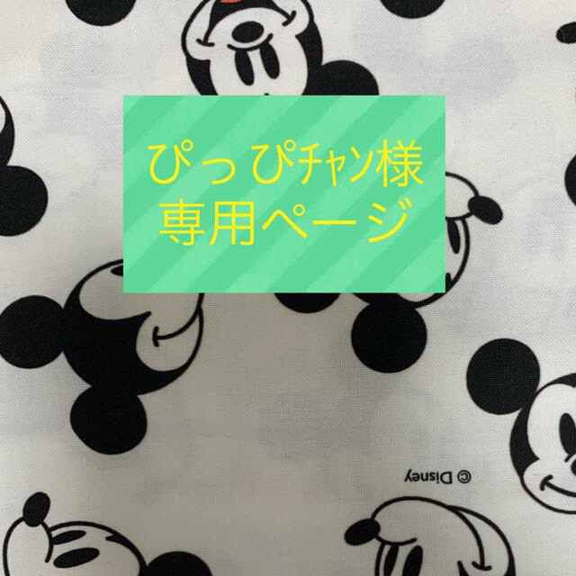 ぴっぴﾁｬﾝ様 専用ページ♡ 当社の 5111円引き realtor37.ru-日本全国へ ...