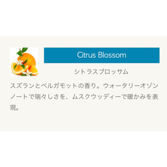 ✳︎✳︎CitrusBlossom-シトラスブロッサム12ml ✳︎プロリテック コスメ/美容のリラクゼーション(アロマオイル)の商品写真