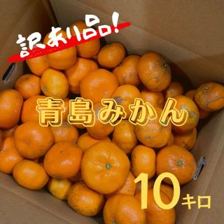 静岡県浜松産『青島みかん』わけありミカン　10キロ(フルーツ)