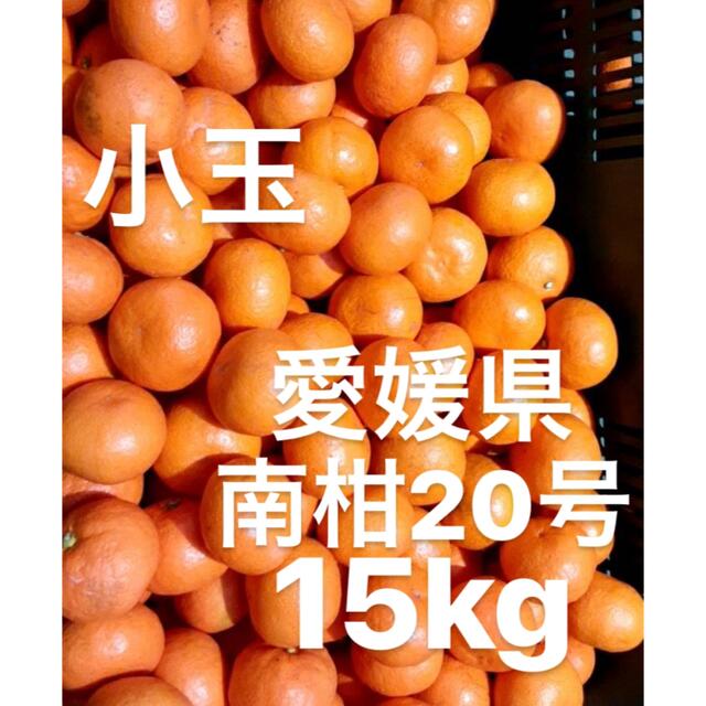 愛媛県産　南柑20号　みかん　柑橘　　15kg