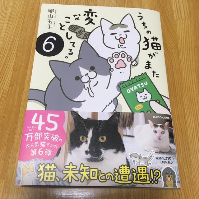 うちの猫がまた変なことしてる。6 卵山玉子 エンタメ/ホビーの漫画(その他)の商品写真