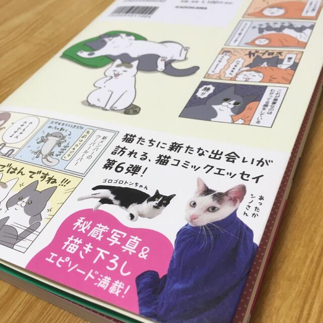 うちの猫がまた変なことしてる。6 卵山玉子 エンタメ/ホビーの漫画(その他)の商品写真