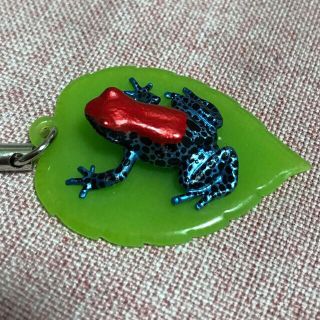 【未使用品】ネイチャーテクニカラーMONO ヤドクガエル ストラップ(その他)