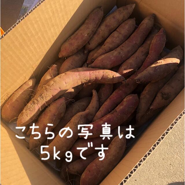 さつまいも　紅はるか　10kg   茨城県産 食品/飲料/酒の食品(野菜)の商品写真