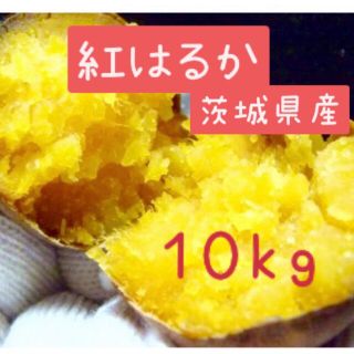 さつまいも　紅はるか　10kg   茨城県産(野菜)