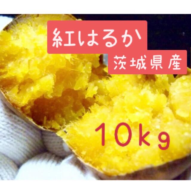 さつまいも　紅はるか　10kg    食品/飲料/酒の食品(野菜)の商品写真