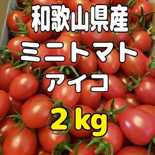 和歌山県産 ミニトマト アイコ ２㎏(野菜)