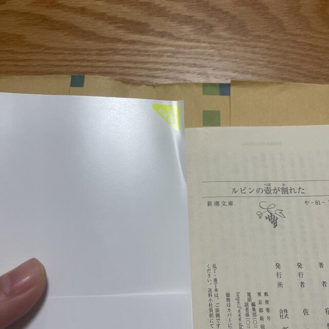 ルビンの壺が割れた エンタメ/ホビーの本(文学/小説)の商品写真