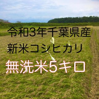 令和3年新米コシヒカリ無洗米5キロ(米/穀物)