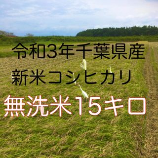 令和3年新米コシヒカリ無洗米15キロ(米/穀物)