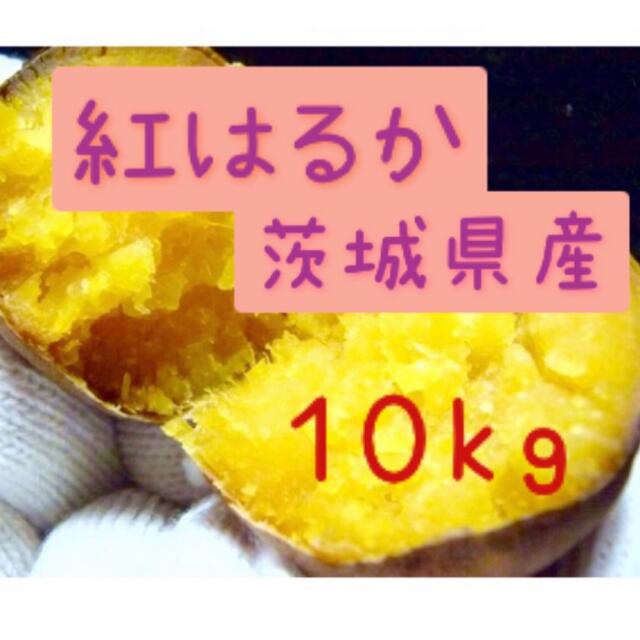 さつまいも　紅はるか　10kg   茨城県産 食品/飲料/酒の食品(野菜)の商品写真