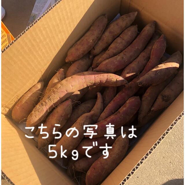 さつまいも　紅はるか　10kg   茨城県産 食品/飲料/酒の食品(野菜)の商品写真