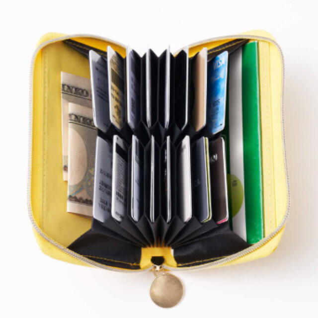 宝島社(タカラジマシャ)のグロウ GLOW 2月号 セルフォード カードケース 財布 じゃばら 付録 宝島 レディースのファッション小物(財布)の商品写真