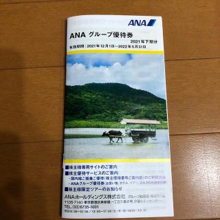 エーエヌエー(ゼンニッポンクウユ)(ANA(全日本空輸))のANA 株主優待券　グループ優待券1冊(その他)